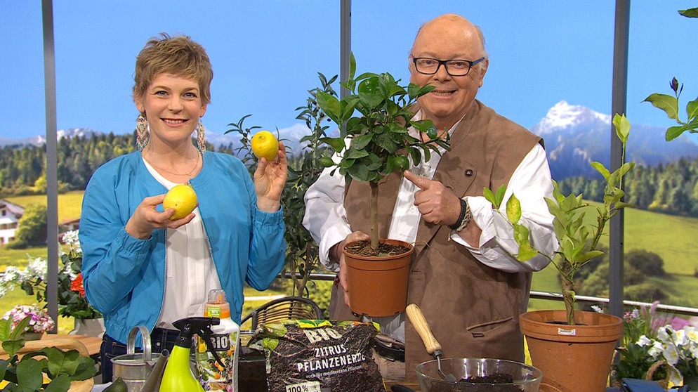 Moderatorin Sandra Bouscarrut und Gartenexperte Andreas Modery | Bildquelle: BR