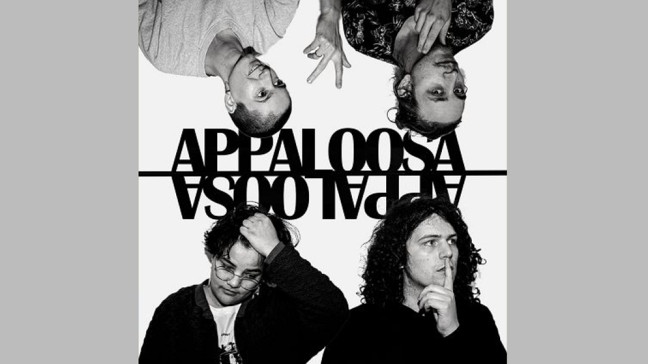 CD Cover Appaloosa | Bildquelle: Appaloosa
