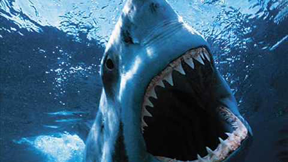 Jaws Soundtrack | Bildquelle: TropickThunder100 (via YouTube)