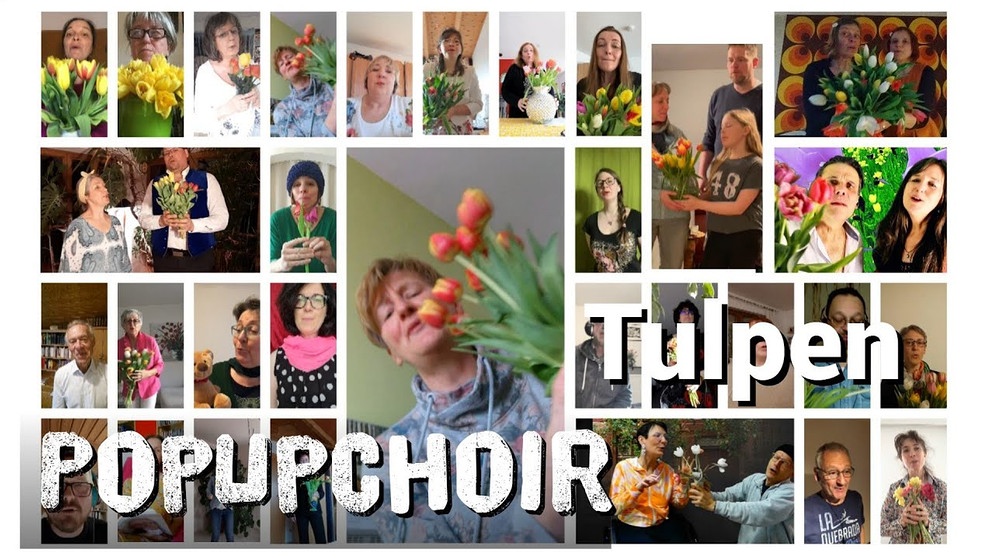 Tulpen - PopUpChoir | Bildquelle: Bastian Pusch (via YouTube)