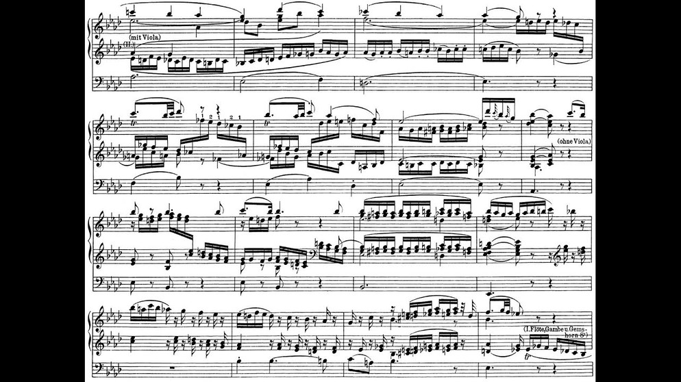 [Szabó Zsolt] Mozart: Fantasie (Allegro and Andante) for Organ in f, K608 | Bildquelle: tnsnamesoralong (via YouTube)