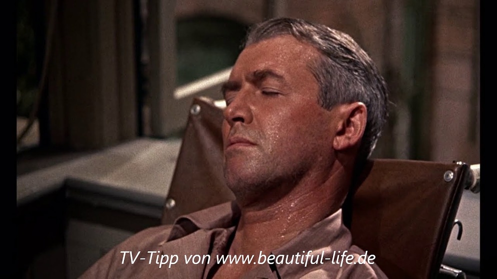Das Fenster zum Hof (TV-Tipp vom 23.01.2021) | Bildquelle: beautiful-life (via YouTube)