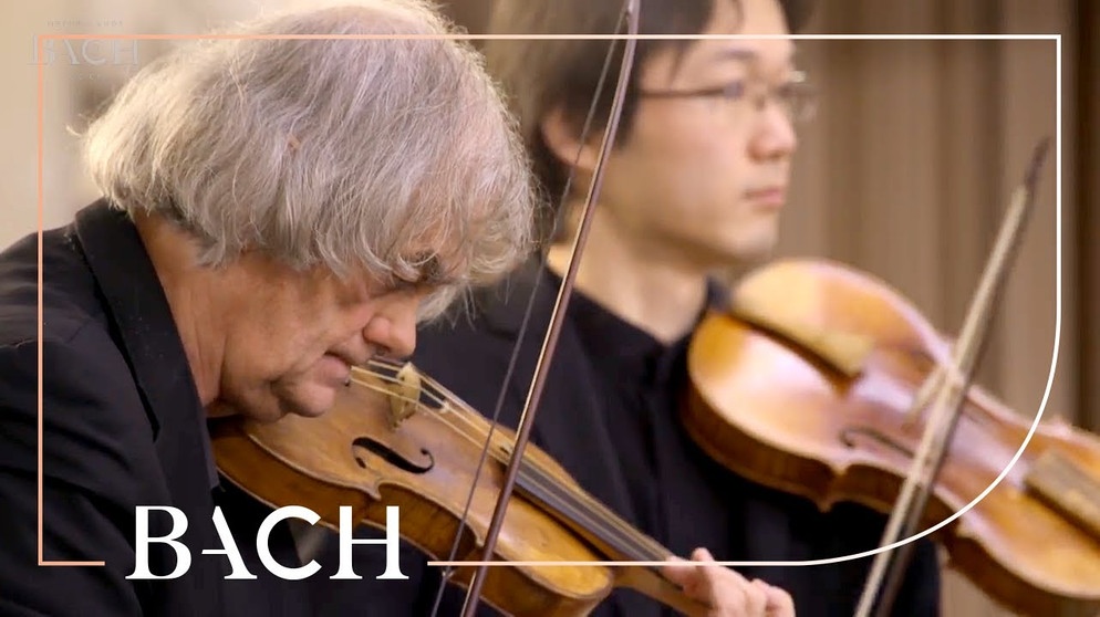 Bach - Cantata Die Elenden sollen essen BWV 75 - Kuijken | Netherlands Bach Society | Bildquelle: Netherlands Bach Society (via YouTube)