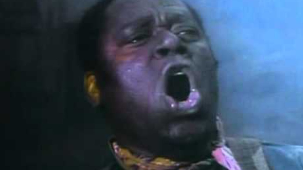 Ol' Man River - William Warfield and MGM chorus(Showboat) | Bildquelle: andrew67ist (via YouTube)