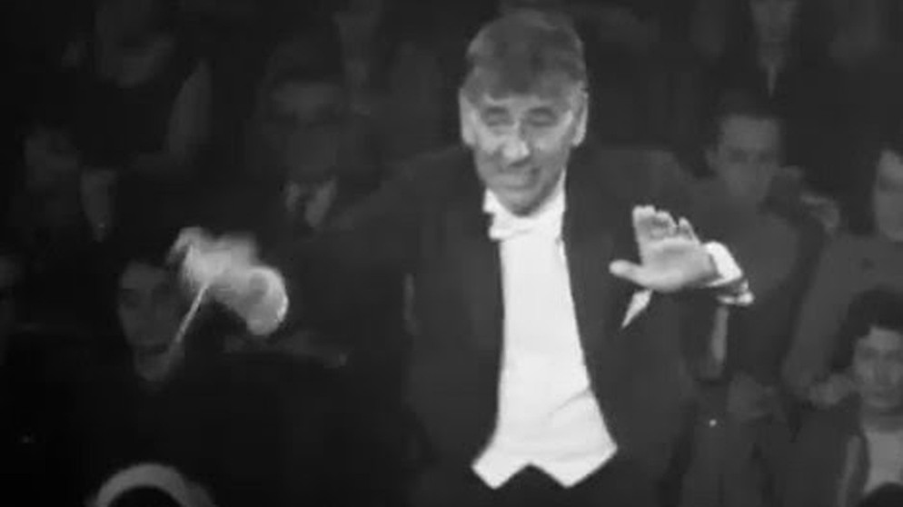 Igor Stravinsky The Rite of Spring  Leonard Bernstein | Bildquelle: Jmay6901 (via YouTube)