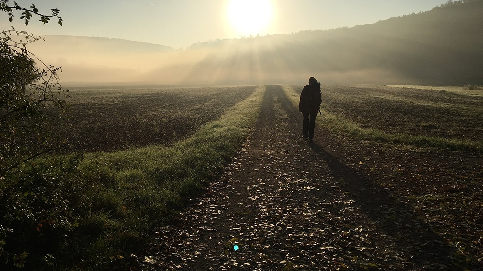 Auf den Spuren der Kelten - Morgenstimmung auf dem Keltenerlebnisweg | Bildquelle: BR/Steffi Illinger