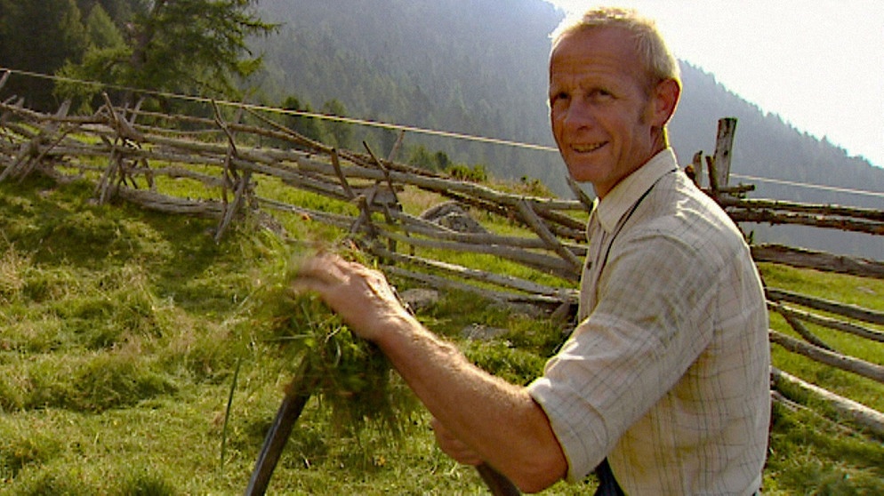 Aus dem Film Ein Almsommer im Ultental von Josef Schwellensattl, 2002 | Bildquelle: BR/Martin Rösner, Volker Schmid