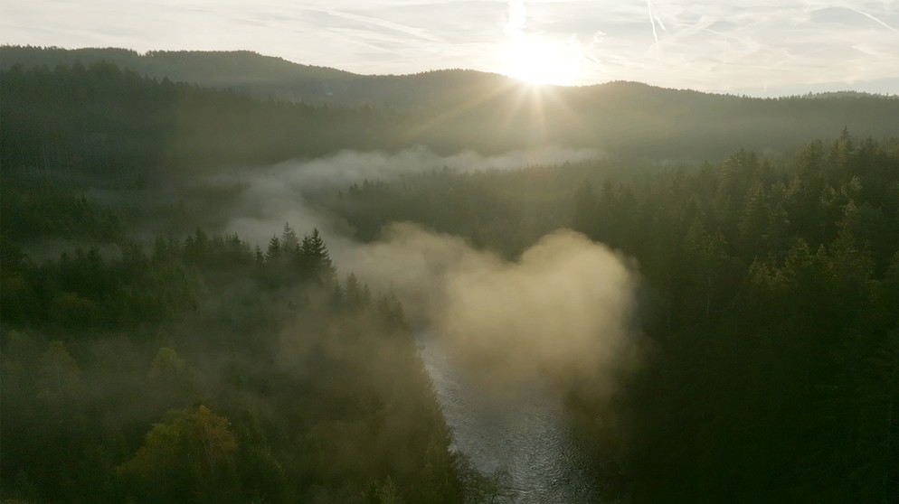 Morgenstimmung im Tal des Schwarzen Regens im Herbst. Wegen dieser wunderbaren Stimmung und Landschaft wird das Gebiet auch Bayerisch Kanada genannt. | Bildquelle: BR/Nikolai Ritzkowsky