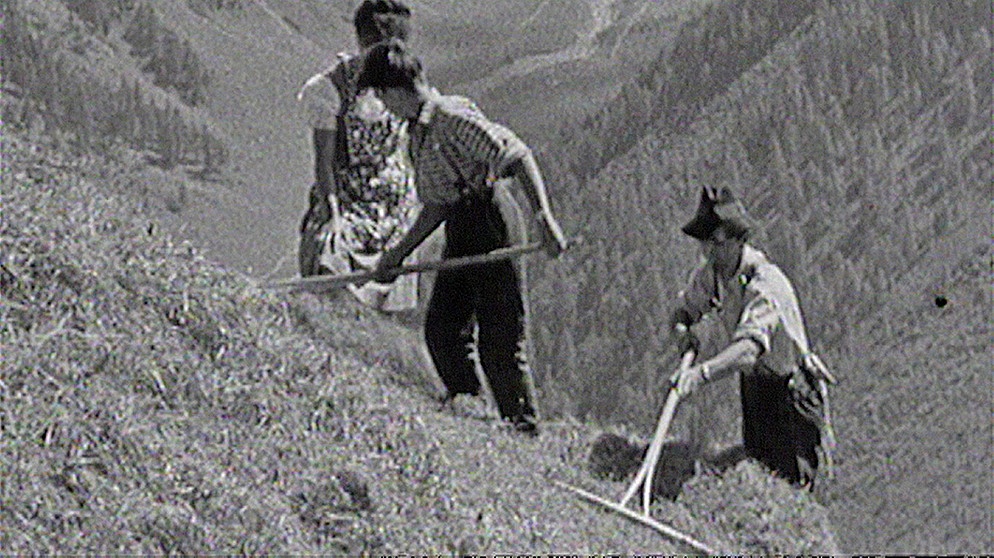 Heumahd in Tirol 1963 - am Berghang mit dem Rechen, eine nicht ganz ungefährliche Arbeit. | Bildquelle: BR