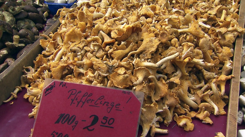 Waldpilze auf dem Markt stammen meist aus Osteuropa - in Deutschland stehen viele Arten unter Schutz. | Bildquelle: BR/NDR/TV Plus GmbH/Natascha Unbehaun