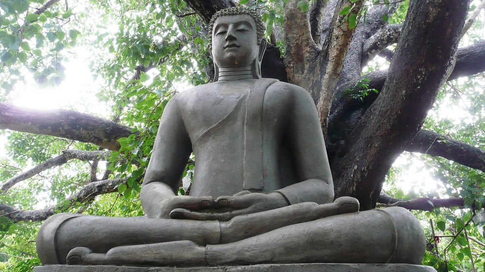 Buddha-Statue unter Bodhi-Baum. | Bildquelle: BR/SWR/Elke Werry