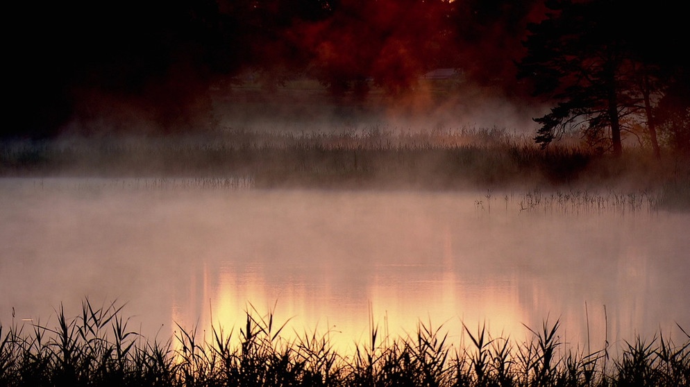 Morgenstimmung am Wasser. | Bildquelle: BR