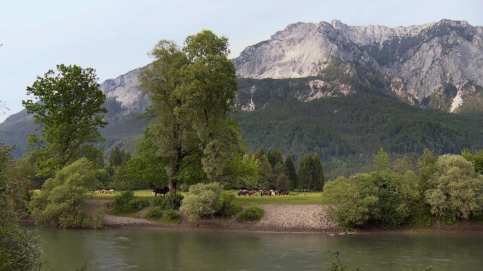 Landschaft im Kärnter Gailtal. | Bildquelle: Honorarfrei lediglich für Ankündigungen und Veröffentlichungen im Zusammenhang mit obiger BR-Sendung bei Nennung: Bild: BR/Rupert Heilgemeir. Die Nutzung im Social Media-Bereich sowie inhaltlich andere Verwendungen nur nach vorheriger schriftlicher Vereinbarung mit dem BR-Bildmanagement, Tel. 089 / 5900 10580, Fax 089 / 5900 10585, Mail Bildmanagement@br.de