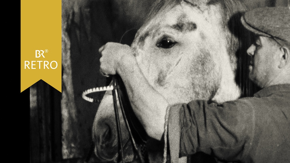 Pferd mit Betreuer
BRRETRO123456 | Bildquelle: BR Archiv