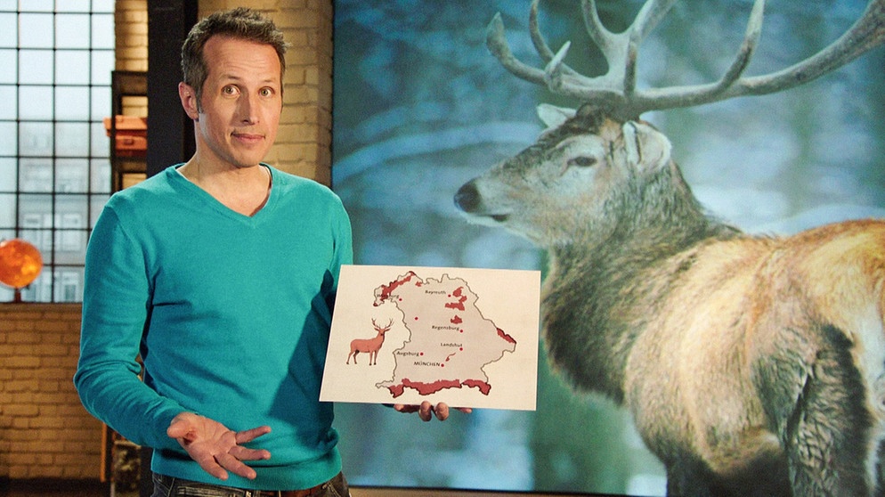 Gut zu wissen-Moderator Willi Weitzel zeigt die Lebensräume von Wild in Bayern. | Bildquelle: BR