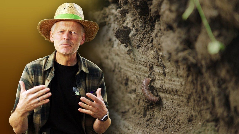 Jens Petermann, Landwirt | Bildquelle: BR