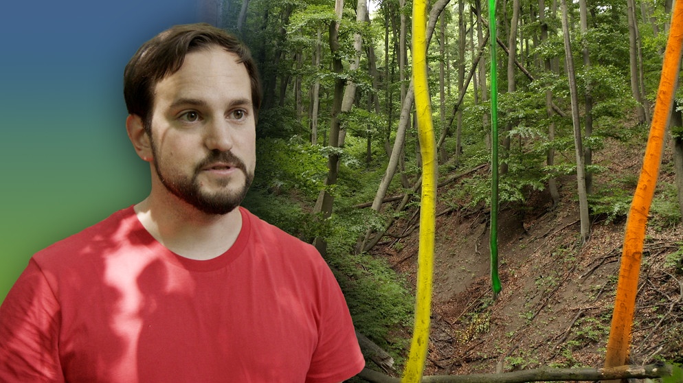Biologe Arthur Pichler forscht im Wienerwald zur Artenvielfalt | Bildquelle: BR/Gut zu wissen